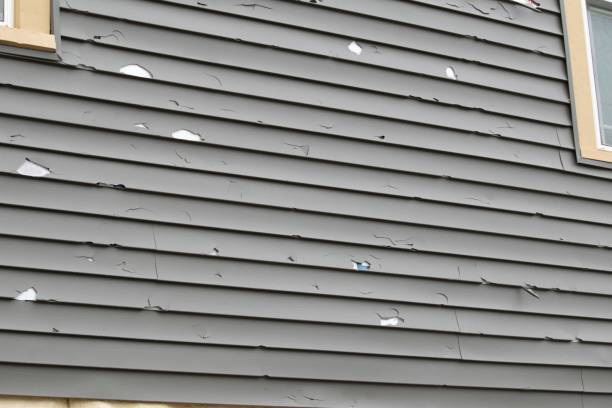 ### Historical Building Siding Restoration